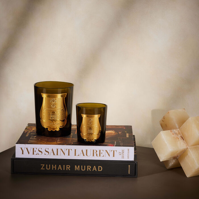 trudon ernesto classic candle 270g