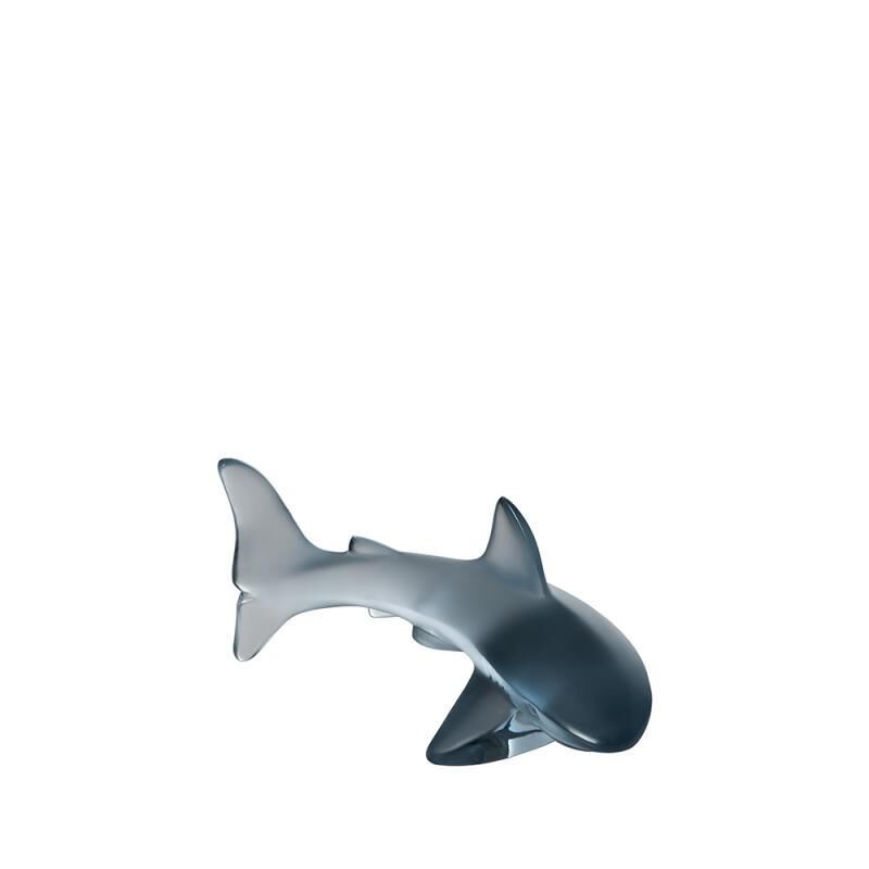تمقال سمك القرش, large