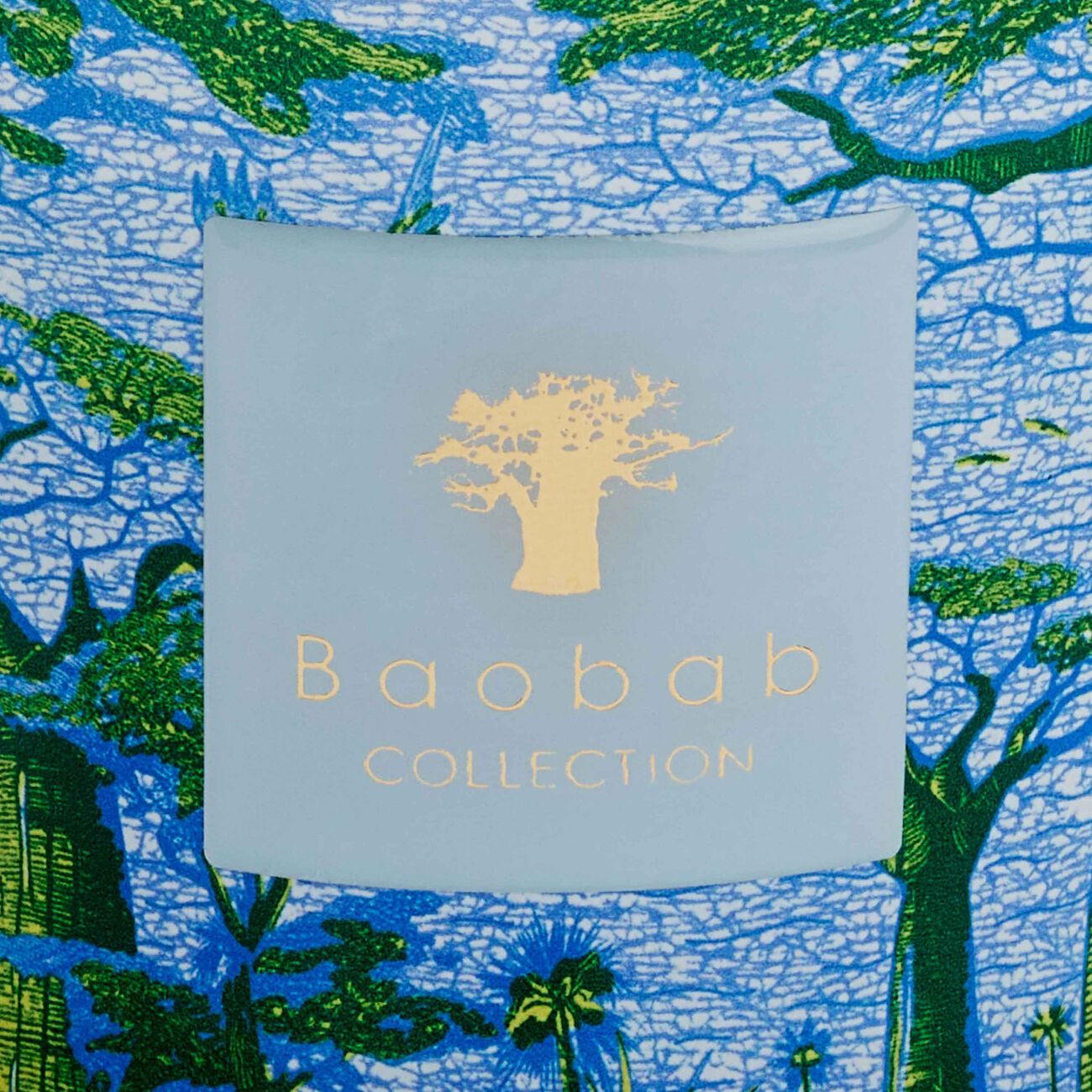 Sacred Trees Yarani Candle Max 10 baobab collection sacred trees yarani candle max 10