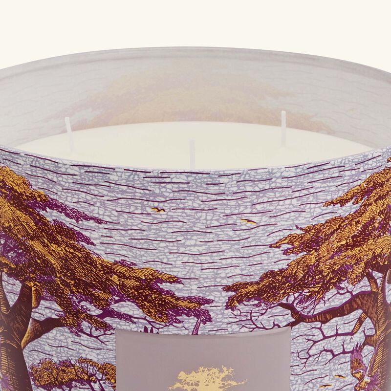 Sacred Trees Massasso Candle Max 24 baobab collection sacred trees massasso candle max 24