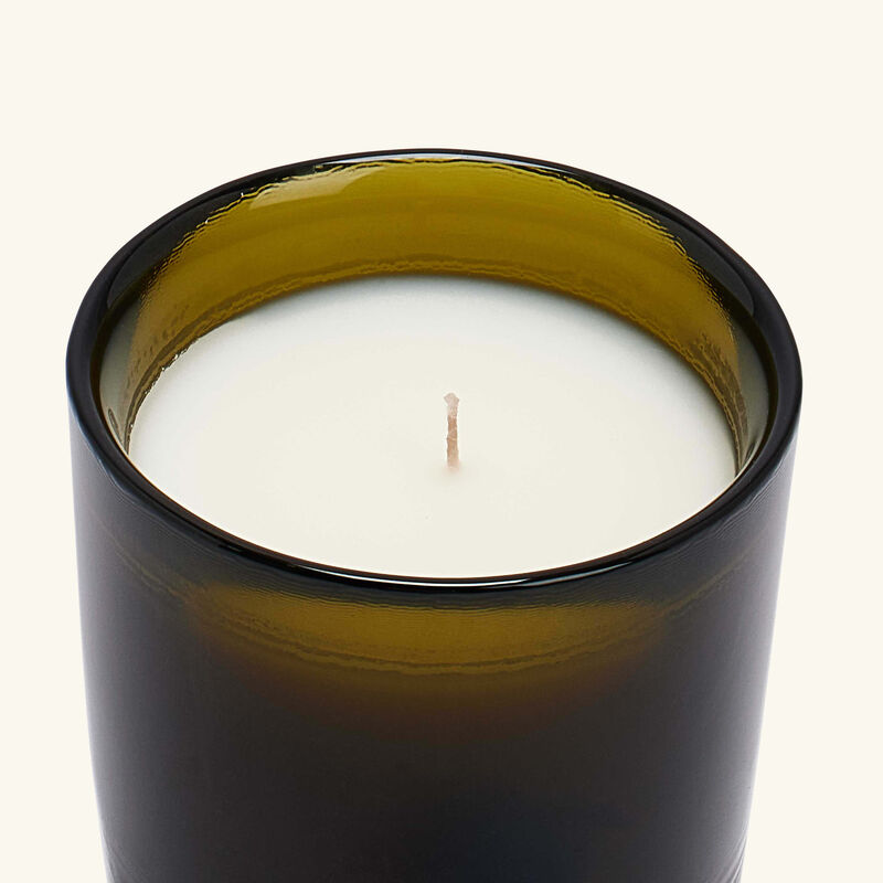 الشمعة المعطرة إرنستو - 70 جرام ترودون الشمعة المعطرة إرنستو 70 جرام