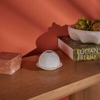 مصباح ليثوفاني ماغنوليا بلوسومز برناردو مصباح ليثوفاني ماغنوليا بلوسومز