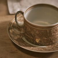 versace barocco beige tea cup saucer