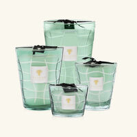 شمعة ويفز نازاري ماكس 16 باوباب شمعة ويفز نازاري ماكس 16