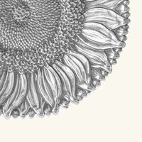 وعاء على شكل زهرة دوار الشمس فضي بحجم متوسط بوتشيلاتي وعاء على شكل زهرة دوار الشمس فضي بحجم متوسط