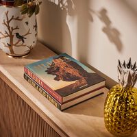 assouline mleiha ancient treasures of the uae book
