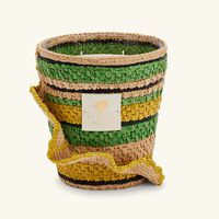 باوباب شمعة فيتي ميلالاو ماكس 16