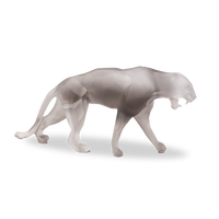 Small Grey Wild Panther Small Grey Wild Panther, small