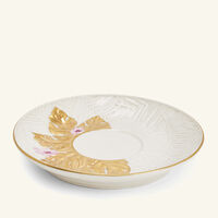 فنجان الشاي أكابولكو مع صحنه أبيض فيلاري فنجان الشاي أكابولكو مع صحنه أبيض