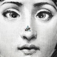 fornasetti tema e variazioni no 363 tray round extra large