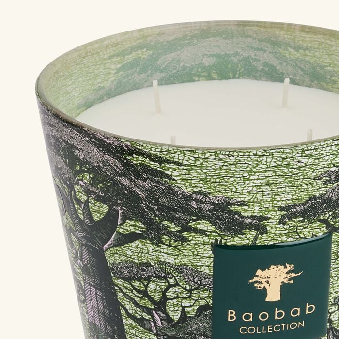 baobab collection sacred trees touba candle max 16