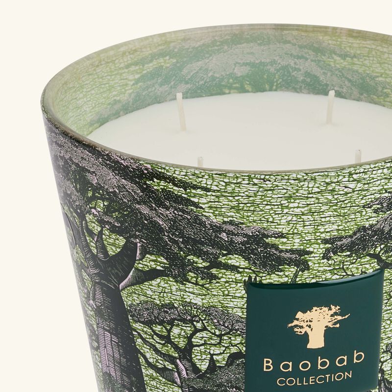Sacred Trees Touba Candle Max 16 baobab collection sacred trees touba candle max 16