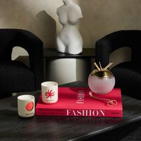 كتاب مجموعة الأزياء الأيقونية 42×35.5 سم آسولين كتاب مجموعة الأزياء الأيقونية 42 35 5 سم