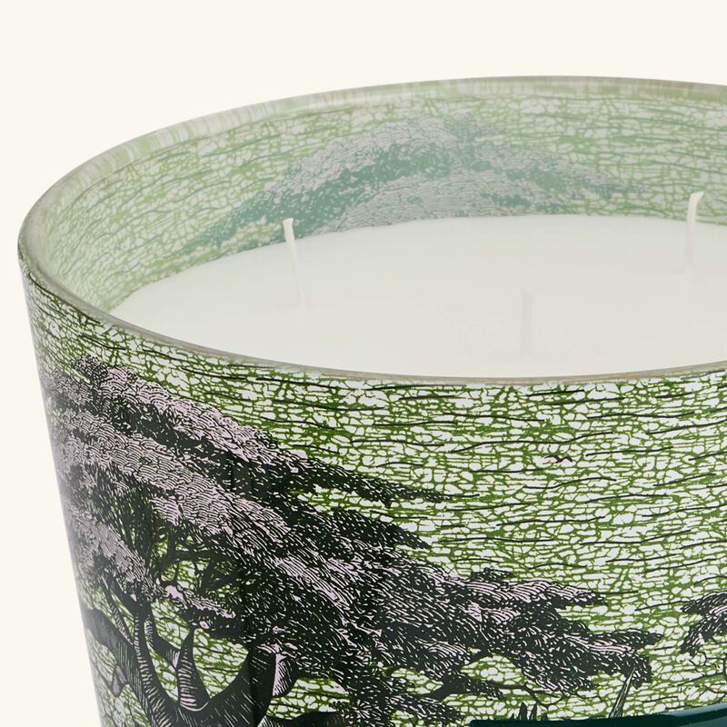 baobab collection sacred trees touba candle max 24