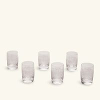 dimlaj thuluth short tumbler clear set of 6
