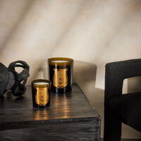 trudon cyrnos candle 3 kg