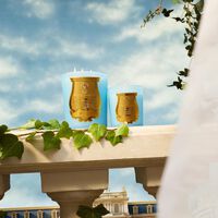 ترودون شمعة فرساي 270 غ