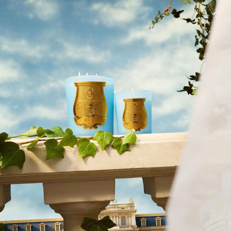شمعة فرساي 270 غ ترودون شمعة فرساي 270 غ