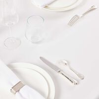 كريستوفل سكين مارلي للحلويات باللون الفضي