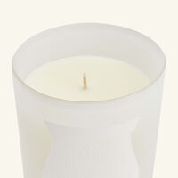 trudon positano giambattista valli candle 270g