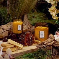 voluspa baltic amber candle