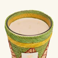 baobab collection ravintsara ravina candle max 24
