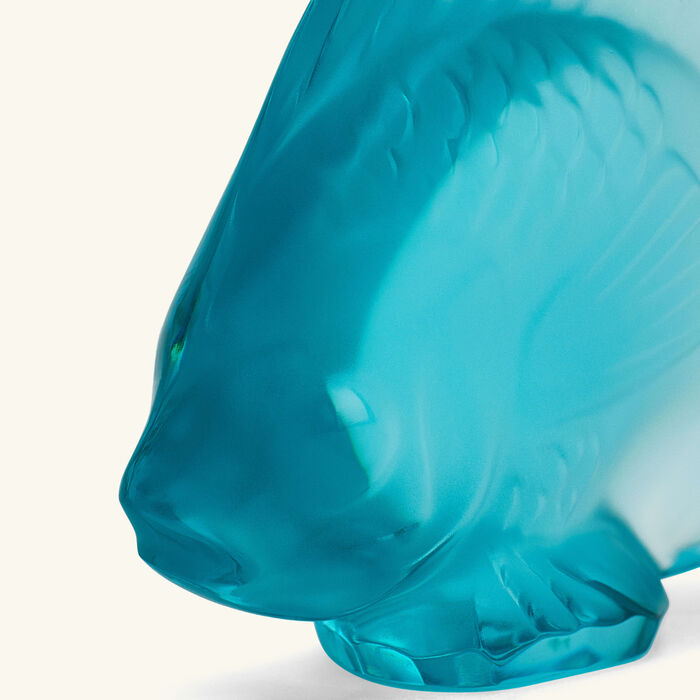 medium
