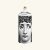 fornasetti frutto proibito mascherina room spray