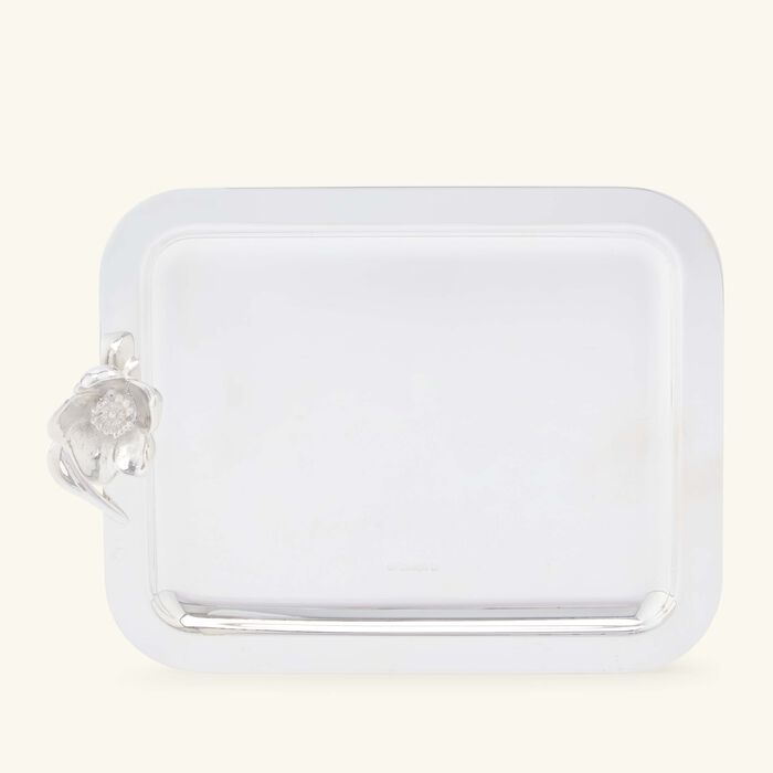 كريستوفل صينية الضيافة أنيمون مستطيلة صغيرة باللون الفضي