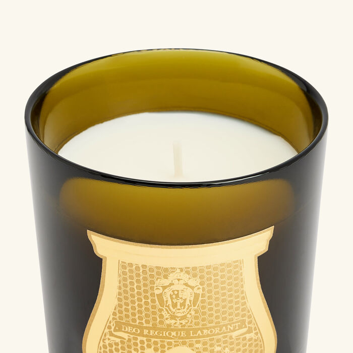 trudon ernesto classic candle 270g