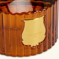 trudon altair diffuser 350 ml