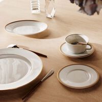 bernardaud gage tea tea cup saucer white