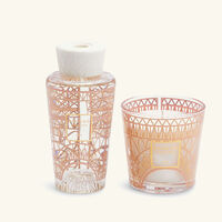 baobab collection my first baobab paris gift box