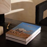 assouline camels from saudi arabia classic book 33x25cm