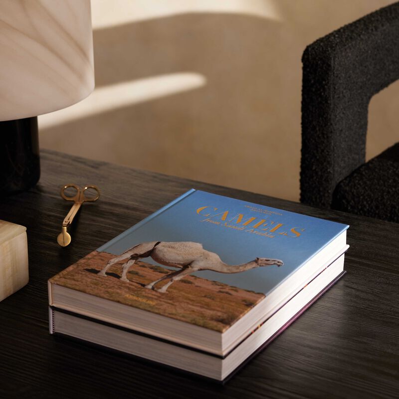 assouline camels from saudi arabia classic book 33x25cm