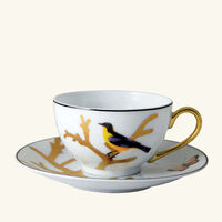 bernardaud aux oiseaux tea set gold