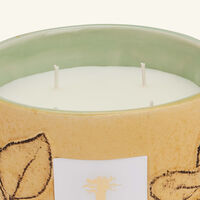 Folia Garrigue Candle Max 10 baobab collection folia garrigue candle max 10