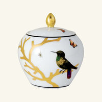 bernardaud aux oiseaux tea set gold