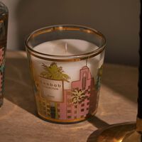 baobab collection my first baobab  miami giftbox