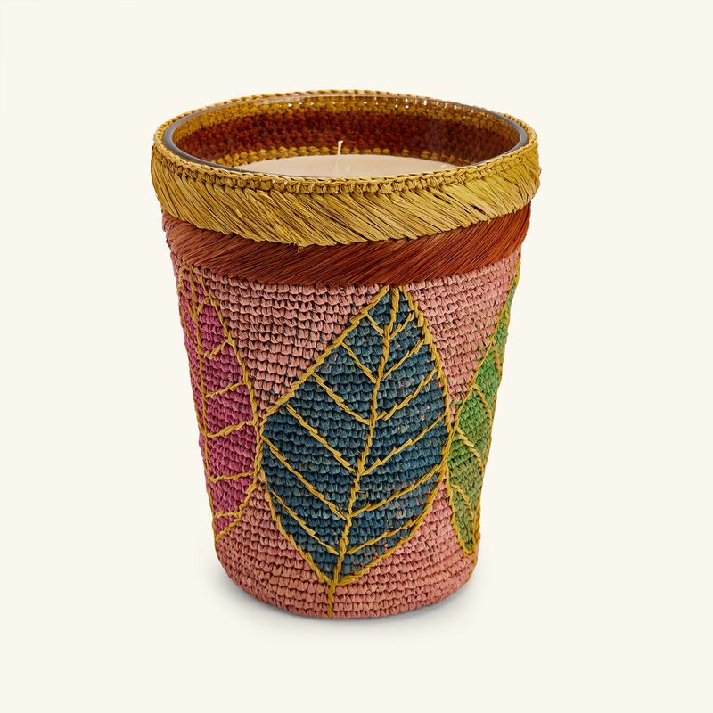 baobab collection ravintsara hanitra candle max 24