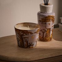 Sacred Trees Boukani Candle Max 10 baobab collection sacred trees boukani candle max 10