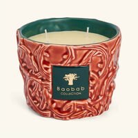 baobab collection brame artemis candle max 10