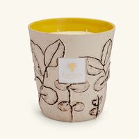 baobab collection folia calanque candle max 16