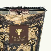 baobab collection sacred trees mankono candle max 10