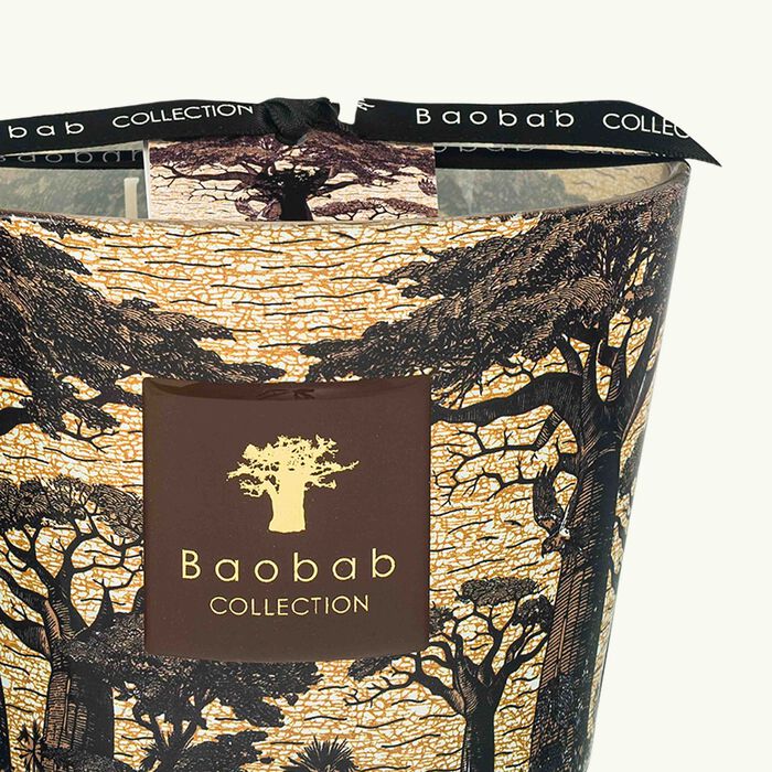 baobab collection sacred trees mankono candle max 10