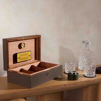 giobagnara santiago cigar humidor small brown