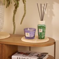 baobab collection collectible roses dark parma candle max 10