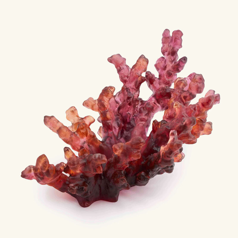 Mer de Corail Centerpiece Orange daum mer de corail centerpiece orange
