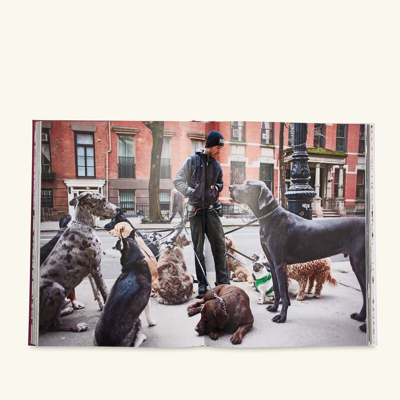 Chic Dogs Book 33x25cm assouline chic dogs book 33x25cm