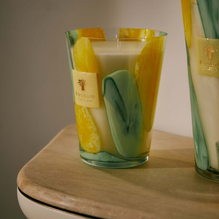 baobab collection riviera santo sospir candle max 24